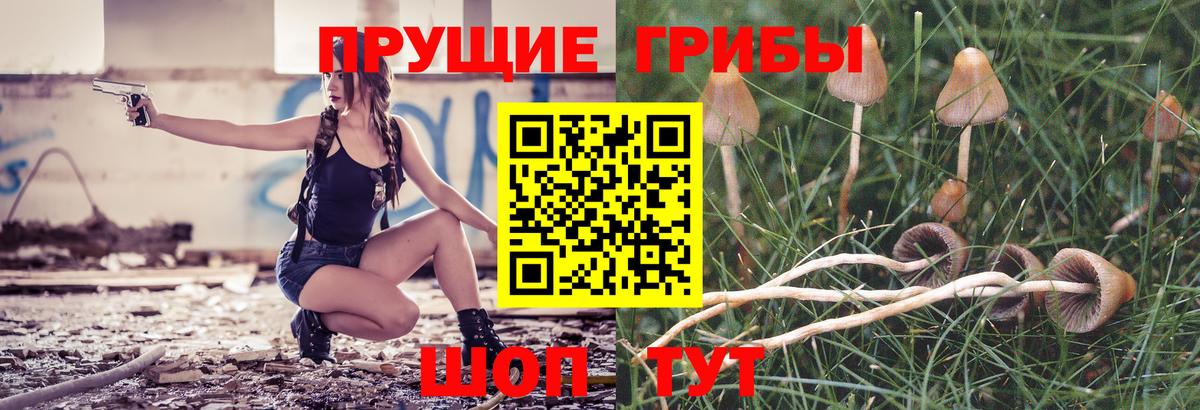 Галлюциногенные грибы Cubensis Апатиты