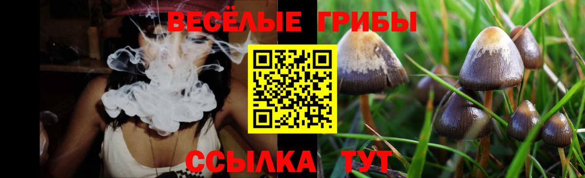 Псилоцибиновые грибы Psilocybe  Псилоцибиновые грибы Cubensis  Вход с VPN  Апатиты 