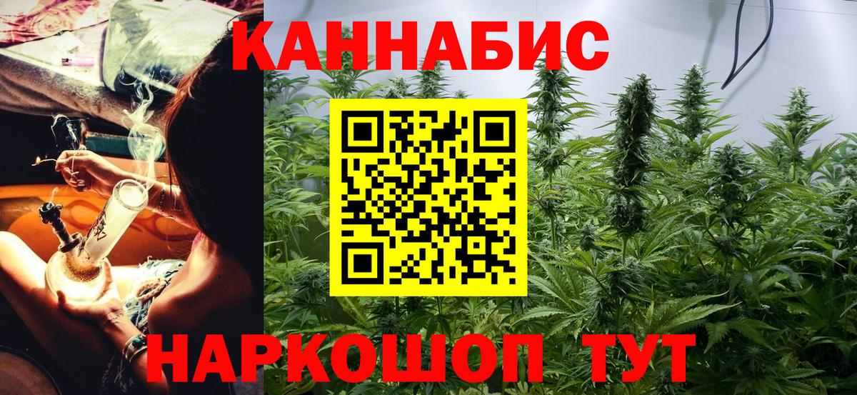 Канабис конопля Апатиты